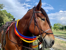 Colombia-Coffee Zone-Jewels of the Colombian Andes